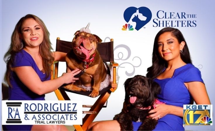 rodriguez and associates on kget clear the shelters